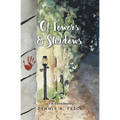 Of Towers and Shadows: a T. B. Stone Mystery