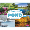 A Year in the Pond