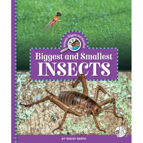 Biggest and Smallest Insects