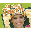 All about Teeth