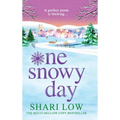 One Snowy Day