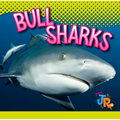 Bull Sharks