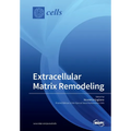 Extracellular Matrix Remodeling