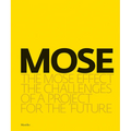 The Mose Effect: The Challenges of a Project for the Future