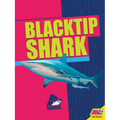 Blacktip Shark