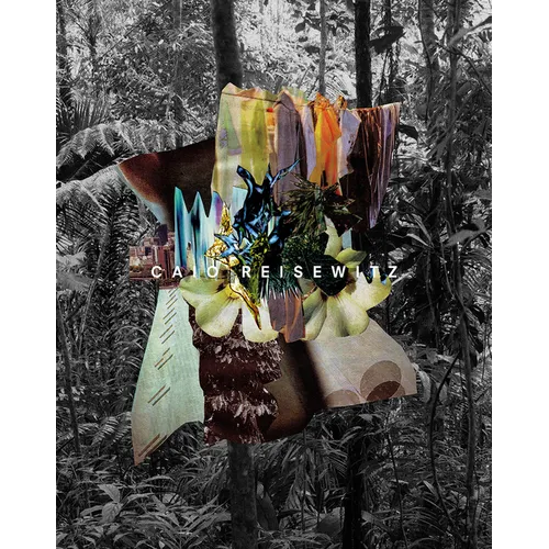 Caio Reisewitz: Disorder