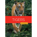 Tigers