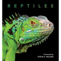 Reptiles