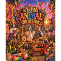 The Backyard Animal Orchestra