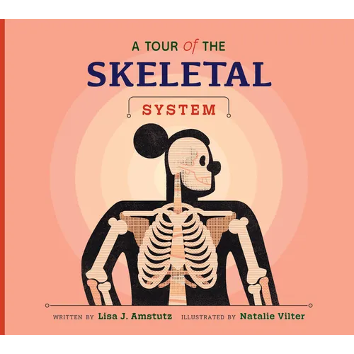 A Tour of the Skeletal System