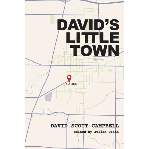David's Little Town: Growing Up in Mid-Century Galion, Ohio