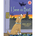 I See a Bat
