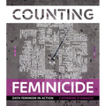 Counting Feminicide: Data Feminism in Action