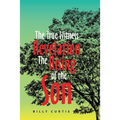 The True Witness of Revelation The Rising of the Son