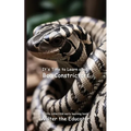 It's Time to Learn about Boa Constrictors
