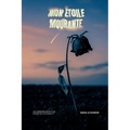 Mon Étoile Mourante: Les derniers mots d'un coeur qui s'accroche