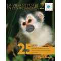 La vida silvestre en Centroamerica 2: 25 Mas animales asombrosos que viven en las selvas tropicales y los rios