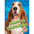 Basset Hounds