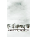 Journal of a Prairie Year