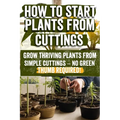 How to Start Plants from Cuttings: A Comprehensive Guide to Plant Propagation Techniques for Success - Master the Art of Growing Plants with Expert Ti