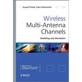 Wireless Multi-Antenna Channels
