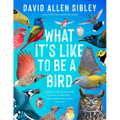 What It's Like to Be a Bird (Adapted for Young Readers): From Flying to Nesting, Eating to Singing--What Birds Are Doing and Why