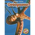 Octopuses