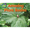 Amazing Plant Bodies: Tiny to Gigantic
