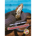 Cottonmouths