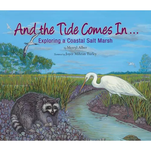 And the Tide Comes In...: Exploring a Coastal Salt Marsh