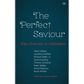 The Perfect Saviour