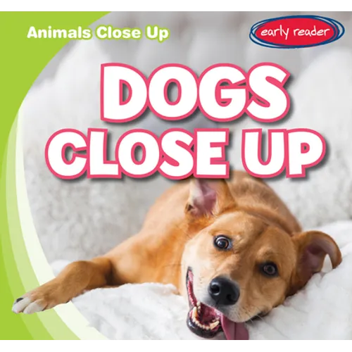 Dogs Close Up