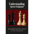 Understanding Queen Endgames