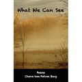 What We Can See
