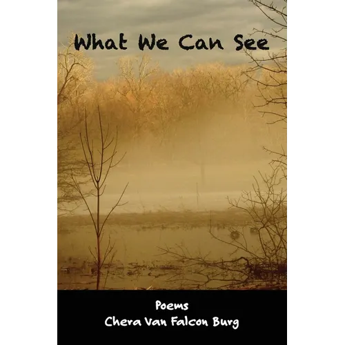 What We Can See