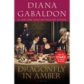 Dragonfly in Amber