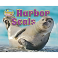 Harbor Seals