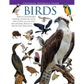 Universal Reference Guide - BIRDS