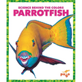 Parrotfish