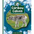 Caribou Calves