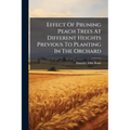 Effect Of Pruning Peach Trees At Different Heights Previous To Planting In The Orchard
