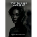 What the dark made of me