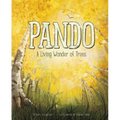 Pando: A Living Wonder of Trees