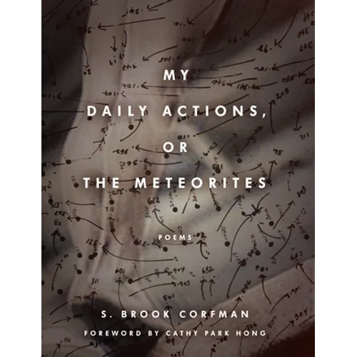 My Daily Actions, or the Meteorites