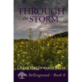 Through the Storm