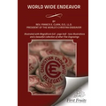 World Wide Endeavor