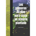 Los primeros 45 días para crear un acuario plantado