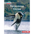 Swimming Orcas