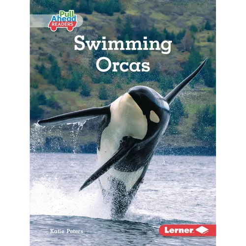 Swimming Orcas