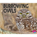 Burrowing Owls